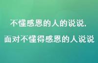 面对不懂得感恩的人说说(100句) 面对不懂得感恩的人说说(100句)