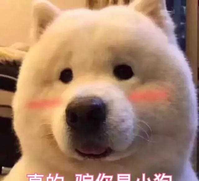 1分钟教你区分BB霜CC霜气垫粉底