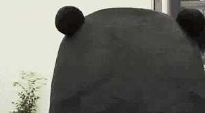 夏日毛孔粗大、易脱妆？这些问题就交给它们吧！