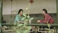 赵丽蓉生前采访曝光！简朴四合院约见倪萍，跟葛优梁天亲昵如母子