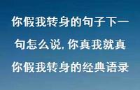 你真我就真你假我转身的经典语录【100句文案】