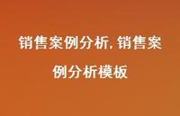 销售案例分析模板【精品文案100句】