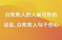 自欺欺人句子伤心(100句)