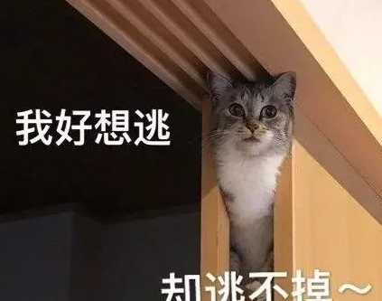 用过最便宜的平替精华水，少花一分多余的钱，单件还不到100块钱