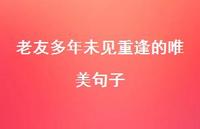 老友多年未见重逢的唯美句子(精选47句)