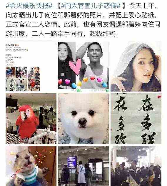 她人淡如菊，却「艳压」杨幂，成豪门准儿媳，到底她厉害在哪？