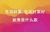 生活好累好疲惫是什么歌(100句)