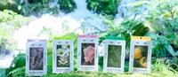 蜷川实花×LULULUN这波梦幻联名，白菜且真实。冲这包装，得入