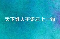 天下谁人不识君上一句65句汇总 天下谁人不识君上一句65句汇总