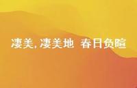 凄美地 春日负暄【100句文案精选】