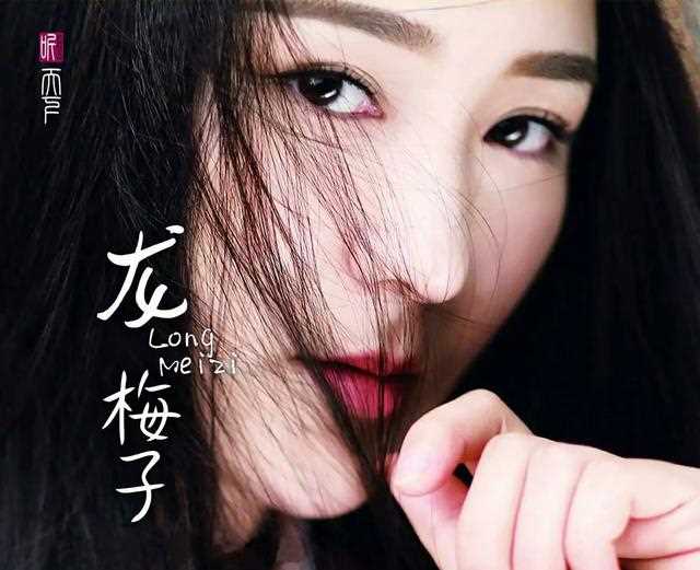 不一样的歌迷情结——龙梅子