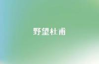 野望杜甫37句汇总