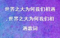 世界之大为何我们相遇歌词【精品文案100句】
