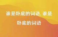 谁是卧底的词语【100句文案精选】