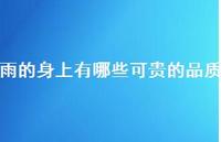 雨的身上有哪些可贵的品质(精选38句)