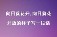 向日葵花开放的样子写一段话【精品文案100句】 向日葵花开放的样子写一段话【精品文案100句】