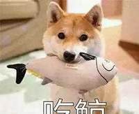 药监局再曝资生堂，这事唐嫣知道吗？