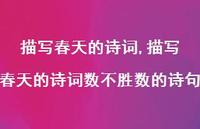 描写春天的诗词数不胜数的诗句【精品文案100句】