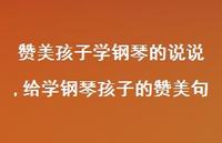 给学钢琴孩子的赞美句(100句)