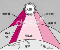 dose课堂 | 皮肤白就不用防晒？别小瞧紫外线的威力