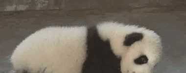 林允作死方式真多，肥皂洗手液也敢洗脸……