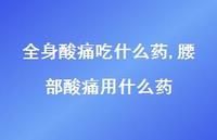 腰部酸痛用什么药(100句)