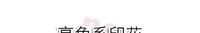 c1db8a91-9bd8-4ac9-b6a2-bf6c1e76f88c_2.jpg 微胖女孩终极显瘦指南!明星们走了100条歪路,总结都在这里!
