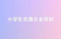 小学生交通安全常识63句汇总
