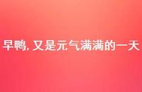 早鸭,又是元气满满的一天42句汇总 早鸭,又是元气满满的一天42句汇总