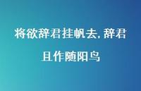 辞君且作随阳鸟【100句文案精选】