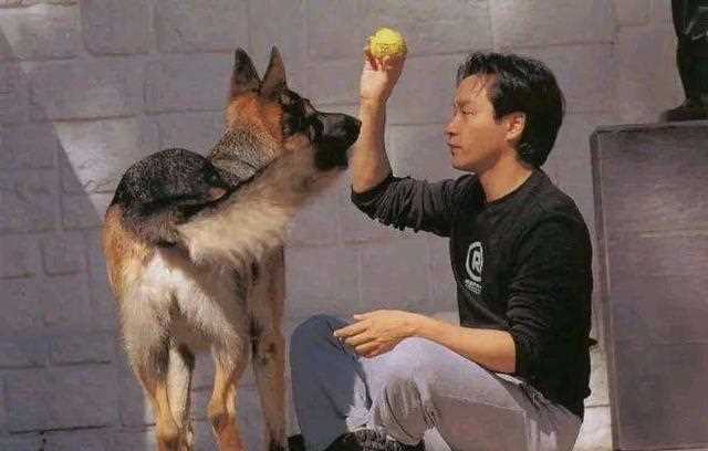 高以翔和张国荣这两个芳华绝代的男人生命中的共同点