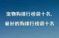 最好的狗排行榜前十名【精选100句】 最好的狗排行榜前十名【精选100句】