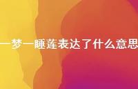 一梦一睡莲表达了什么意思(精选41句)