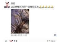 有着作家梦的古筝女孩成了时尚女魔头，苏芒离职下一步去往何方？