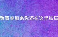 致青春原来你还在这里结局52句汇总 致青春原来你还在这里结局52句汇总