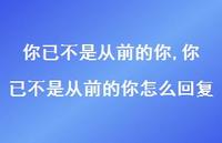 你已不是从前的你怎么回复(100句)