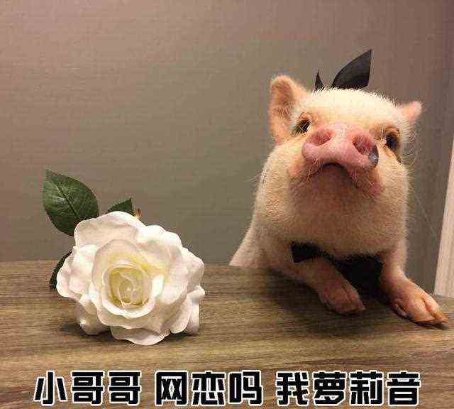 夏日约会装，加分套装让你做个夏日甜心