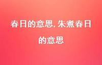 朱煮春日的意思【100句文案精选】