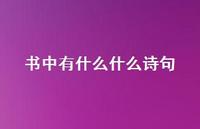 书中有什么什么诗句(精选55句)