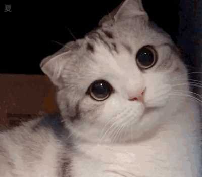 淘宝上惊艳漂亮的小裙子谁不爱？疫情过了穿去约会吧