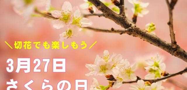 日本“樱花节”是什么？它的由来竟然是谐音梗？
