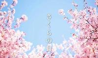 日本“樱花节”是什么?它的由来竟然是谐音梗? 日本“樱花节”是什么?它的由来竟然是谐音梗?
