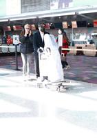 王岳伦恋上花珊珊，软饭男和精明女的较量，还是男人都爱女网红？