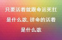 拼命的活着是什么歌(100句)