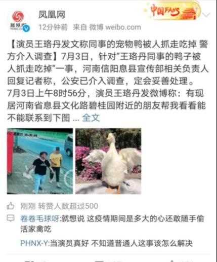 王珞丹的“前世今生”：小姑娘上位之路，没我们想的那么简单