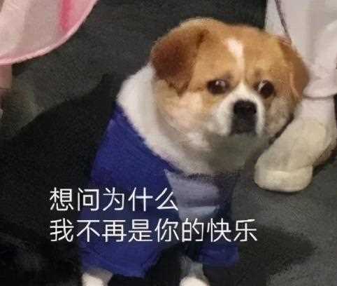 还穿这些？那可就太土了