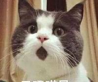 惊呆！19.9元的睫毛增长液用了19天增长超明显！内附高清对比图