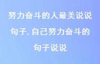 自己努力奋斗的句子说说(100句) 自己努力奋斗的句子说说(100句)