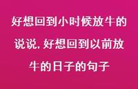 好想回到以前放牛的日子的句子【100句文案】
