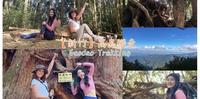 【新竹】高岛纵走｜五星级森林步道｜高台山、大岛田、中岛田、小岛田山，疗癒系森林